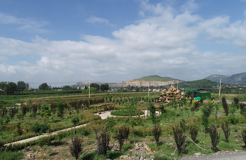 枣庄市市中区狮子山建筑石料用灰岩矿有限公司